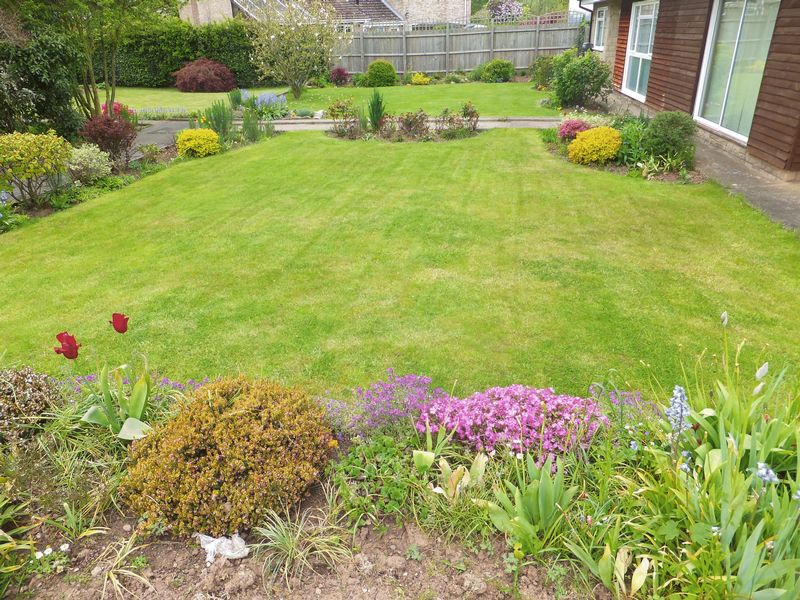Front Garden- click for photo gallery